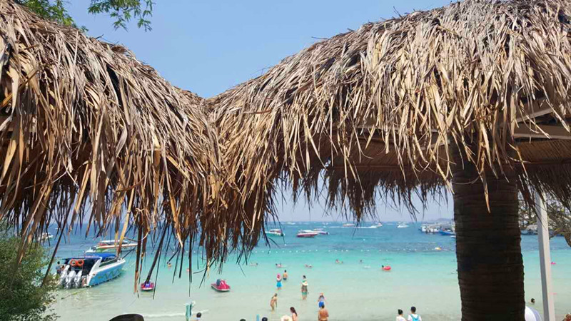 尊龙抖圈(中国区)官方网站-为du而生