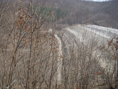 尊龙抖圈(中国区)官方网站-为du而生