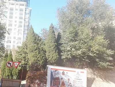 尊龙抖圈(中国区)官方网站-为du而生