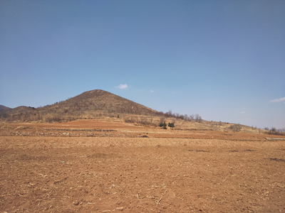 尊龙抖圈(中国区)官方网站-为du而生