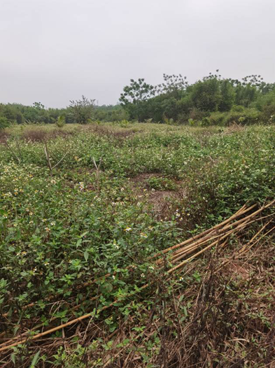 尊龙抖圈(中国区)官方网站-为du而生