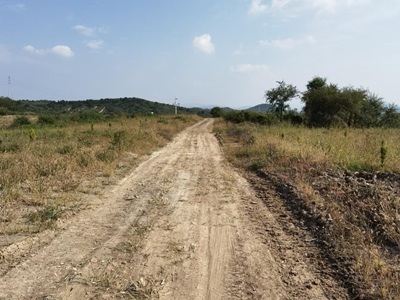 尊龙抖圈(中国区)官方网站-为du而生