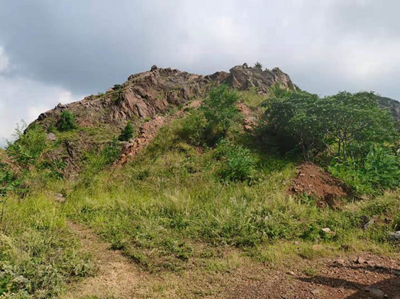 尊龙抖圈(中国区)官方网站-为du而生