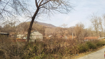 尊龙抖圈(中国区)官方网站-为du而生