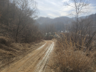 尊龙抖圈(中国区)官方网站-为du而生