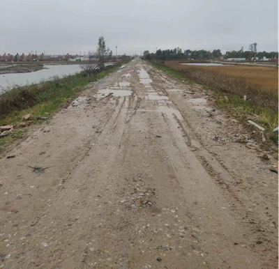 尊龙抖圈(中国区)官方网站-为du而生