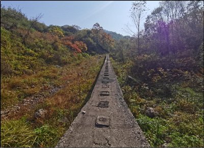 尊龙抖圈(中国区)官方网站-为du而生