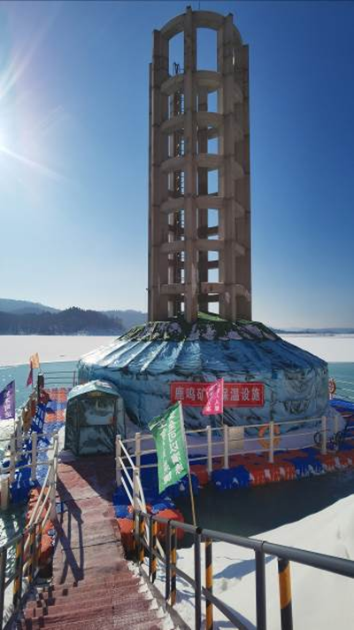 尊龙抖圈(中国区)官方网站-为du而生