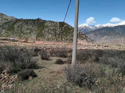 尊龙抖圈(中国区)官方网站-为du而生