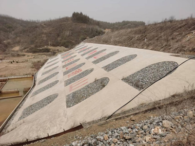 尊龙抖圈(中国区)官方网站-为du而生