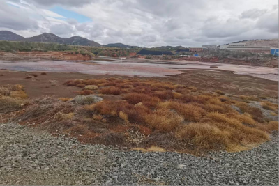 尊龙抖圈(中国区)官方网站-为du而生