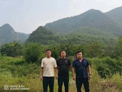 尊龙抖圈(中国区)官方网站-为du而生