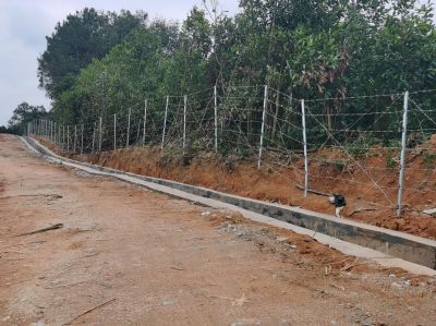 尊龙抖圈(中国区)官方网站-为du而生