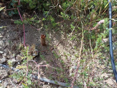 尊龙抖圈(中国区)官方网站-为du而生