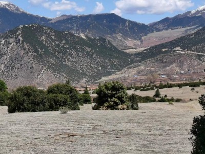 尊龙抖圈(中国区)官方网站-为du而生