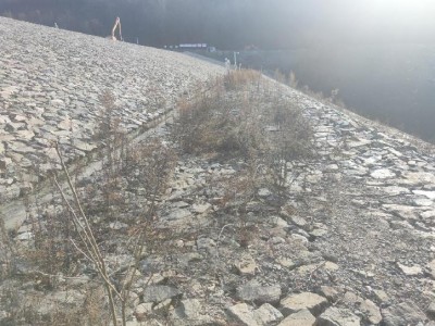 尊龙抖圈(中国区)官方网站-为du而生