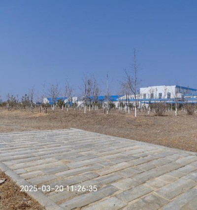 尊龙抖圈(中国区)官方网站-为du而生